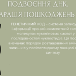 репарація