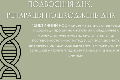репарація