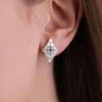 сережки гвоздики