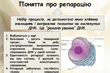 репарація це