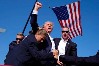 коли вибори в сша